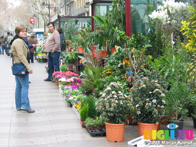 20529 Flower stall on Las Ramblas